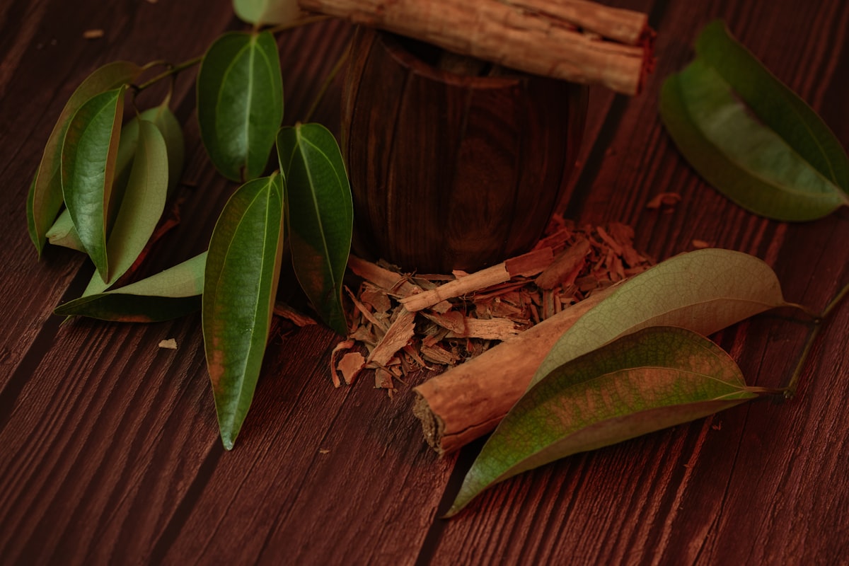European Folk Health Practices